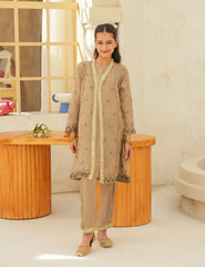 Taupe Luxe Silk & Organza 3 Pcs