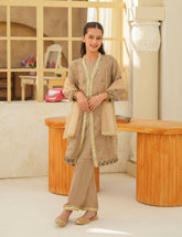 Taupe Luxe Silk & Organza 3 Pcs