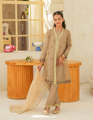 Taupe Luxe Silk & Organza 3 Pcs