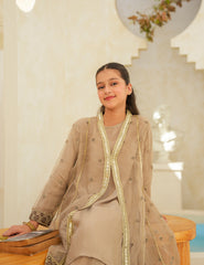 Taupe Luxe Silk & Organza 3 Pcs