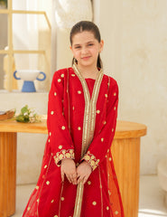 Ruby Royale Silk & Organza 3 Pcs