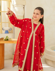 Ruby Royale Silk & Organza 3 Pcs