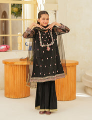 Midnight Noir Silk & Organza 3 Pcs