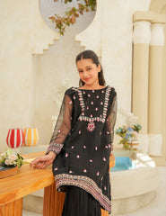 Midnight Noir Silk & Organza 3 Pcs