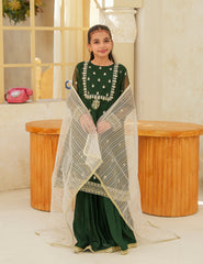 Festive Elegance Silk & Organza 3 Pcs