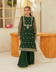 Festive Elegance Silk & Organza 3 Pcs