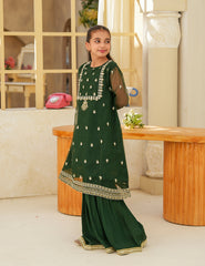 Festive Elegance Silk & Organza 3 Pcs