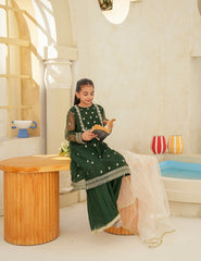Festive Elegance Silk & Organza 3 Pcs