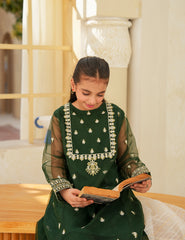 Festive Elegance Silk & Organza 3 Pcs