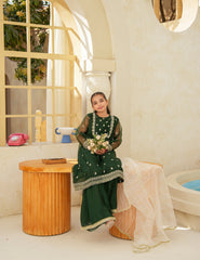 Festive Elegance Silk & Organza 3 Pcs