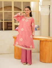 Peach Blossom Silk & Organza 3 Pcs