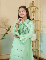 Mint Whisper Cotton Lawn Suit