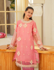 Peach Blossom Silk & Organza 3 Pcs