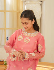 Peach Blossom Silk & Organza 3 Pcs