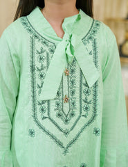 Mint Whisper Cotton Lawn Suit