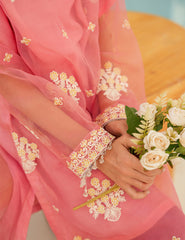 Peach Blossom Silk & Organza 3 Pcs