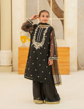 Heritage Black Silk & Organza 3 Pcs