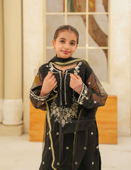 Heritage Black Silk & Organza 3 Pcs