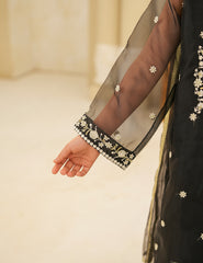 Heritage Black Silk & Organza 3 Pcs