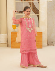 Rose Petal Silk & Organza 3 Pcs