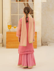 Rose Petal Silk & Organza 3 Pcs