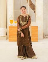 Dark Brown Silk & Organza 3 Pcs