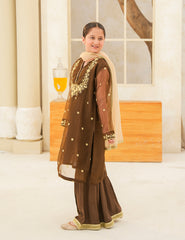 Dark Brown Silk & Organza 3 Pcs