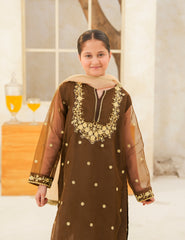 Dark Brown Silk & Organza 3 Pcs