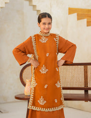 Burnt Orange Silk & Organza 4 Pcs