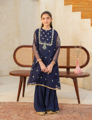 Navy Elegance Silk & Organza 3 Pcs