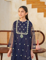 Navy Elegance Silk & Organza 3 Pcs