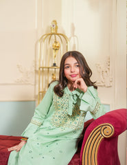 Mint Elegance Cotton Lawn Suit