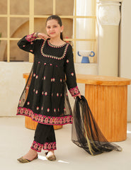 Black Silk & Organza 3 Pcs
