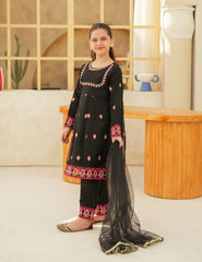Black Silk & Organza 3 Pcs