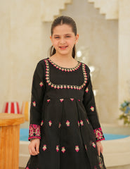 Black Silk & Organza 3 Pcs