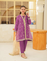 Violet Silk & Organza 3 Pcs