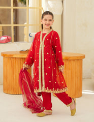 Ruby Royale Silk & Organza 3 Pcs