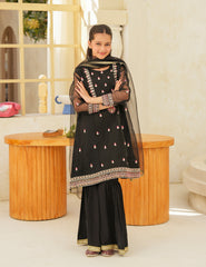 Midnight Noir Silk & Organza 3 Pcs