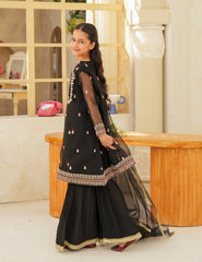 Midnight Noir Silk & Organza 3 Pcs