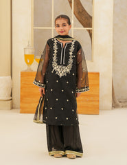 Heritage Black Silk & Organza 3 Pcs