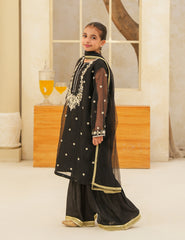 Heritage Black Silk & Organza 3 Pcs