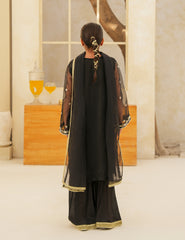 Heritage Black Silk & Organza 3 Pcs
