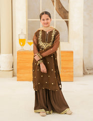 Dark Brown Silk & Organza 3 Pcs