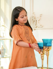 Amber Glow Embroidered Lawn Suit