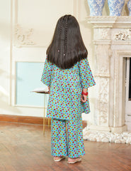 Sky Garden Printed Lawn Suit